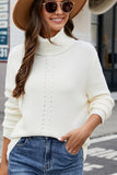 WOMEN LONG SLEEVE HIGH TURTLE NECK SWEATER