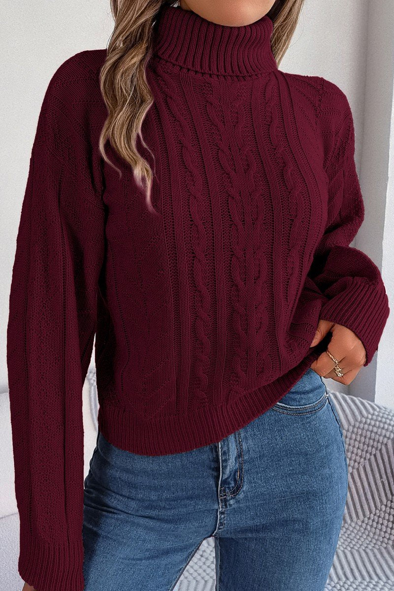 WOMEN TWIST CABLE KNIT TURTLE NECK WARM SWEATER