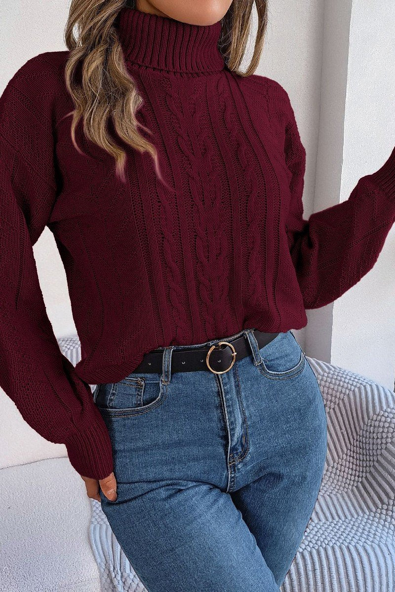 WOMEN TWIST CABLE KNIT TURTLE NECK WARM SWEATER