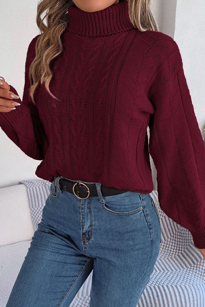 WOMEN TWIST CABLE KNIT TURTLE NECK WARM SWEATER