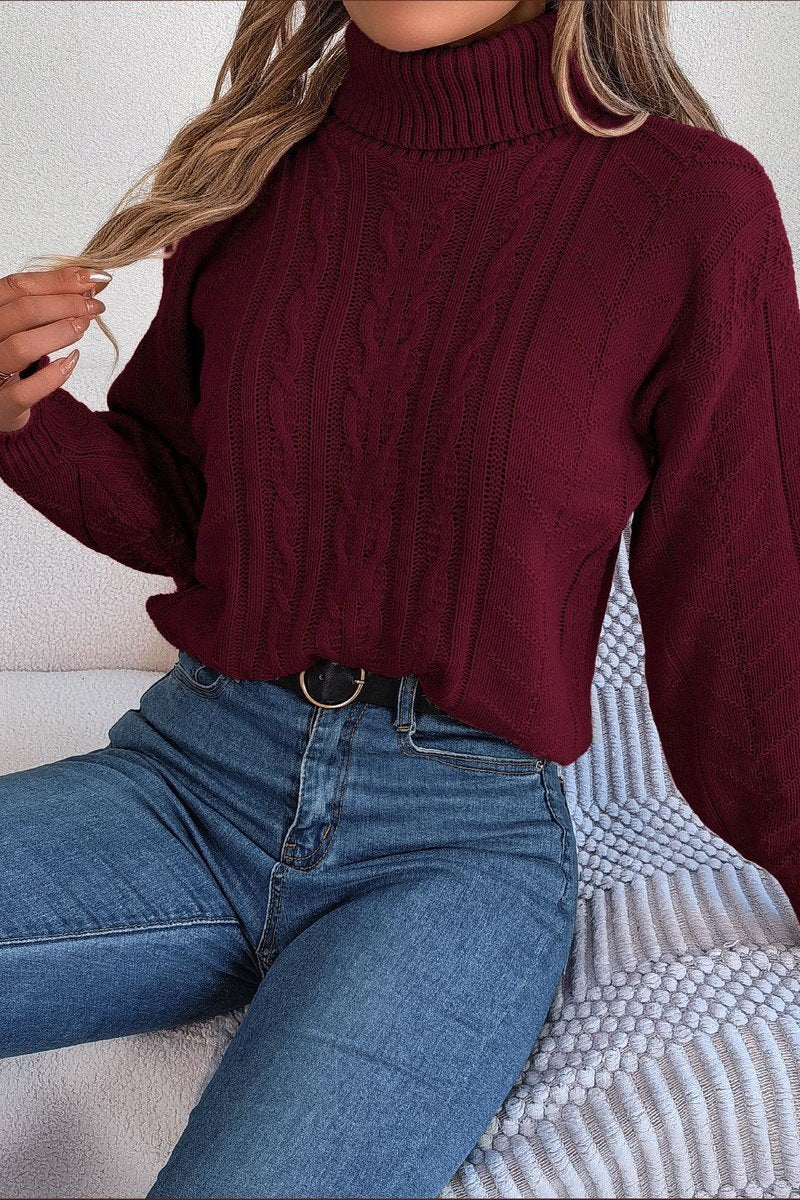 WOMEN TWIST CABLE KNIT TURTLE NECK WARM SWEATER